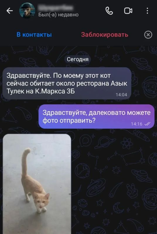 Операция «Рыжик» завершена успешно: наш боец снова в строю! Операция «Рыжик» завершена успешно: наш боец снова в строю!