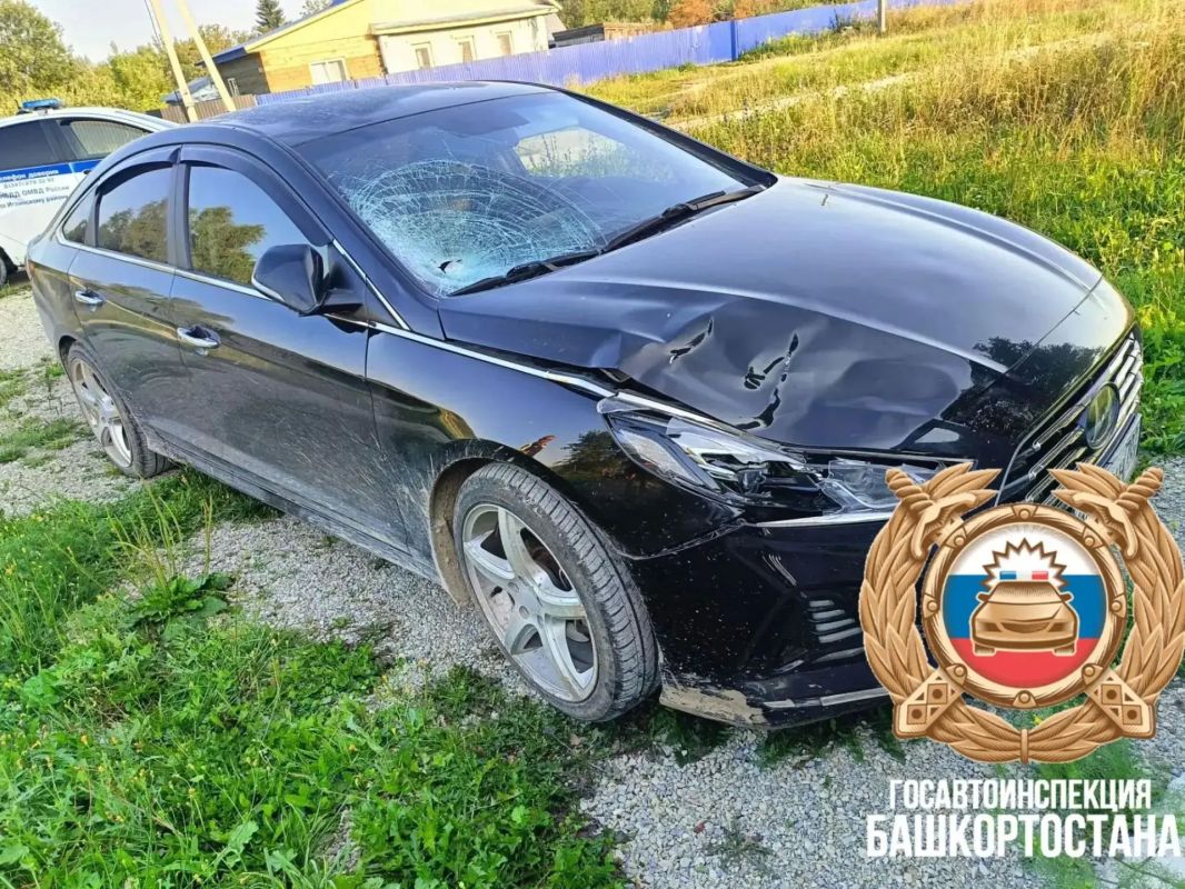 Пьяная жительница Башкортостана за рулем иномарки насмерть сбила женщину и скрылась Пьяная жительница Башкортостана за рулем иномарки насмерть сбила женщину и скрылась
