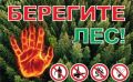 Берегите лес от огня! Профилактика лесных пожаров – наша общая задача!