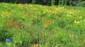 ��������� ������� � ������������ ���� ���