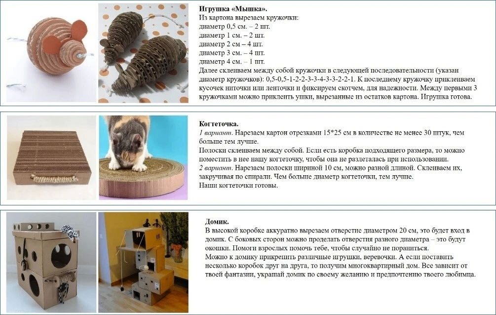 Как многим известно, картонные коробки – это любимое место для укрытия кошечек и котов, а если наши пушистики найдут кусочек картона или бумаги, то они готовы играть с ними целый день