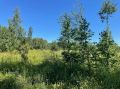 По данным Башгидромета, 2 августа на территории республики ожидается облачная погода с прояснениями