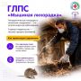 ГЛПС – острое инфекционное заболевание с поражением почек и кровеносных сосудов, выраженной интоксикацией