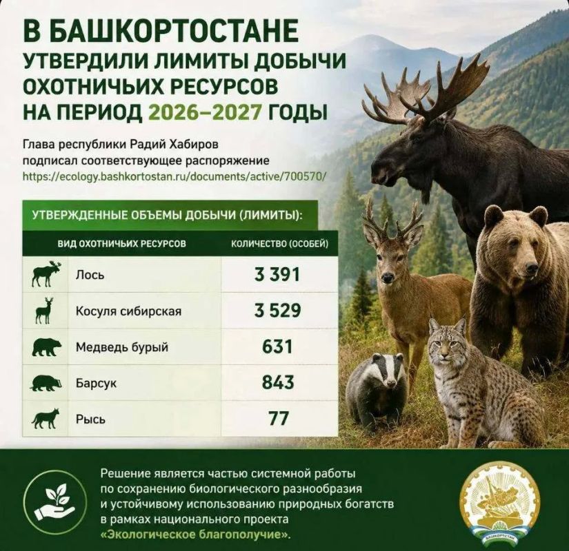 В Башкирии определили, сколько животных можно добыть в новом охотничьем сезоне