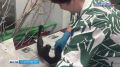 ������� ���������� �������� � �������� �������������