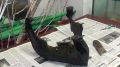 В Нацмузей Башкирии передали уникальный экспонат — челюсть мамонтёнка