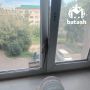 ����� ��������� ����������� � �������� ����������