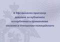 В Уфе вынесен приговор девушке за публичное оскорбление и применение насилия в отношении полицейского
