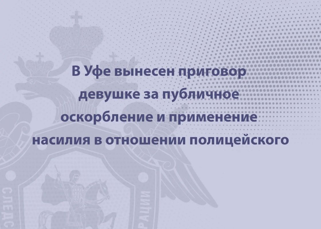 В Уфе вынесен приговор девушке за публичное оскорбление и применение насилия в отношении полицейского