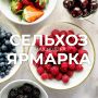 � ��� �������� � ��� ����� ������� �������