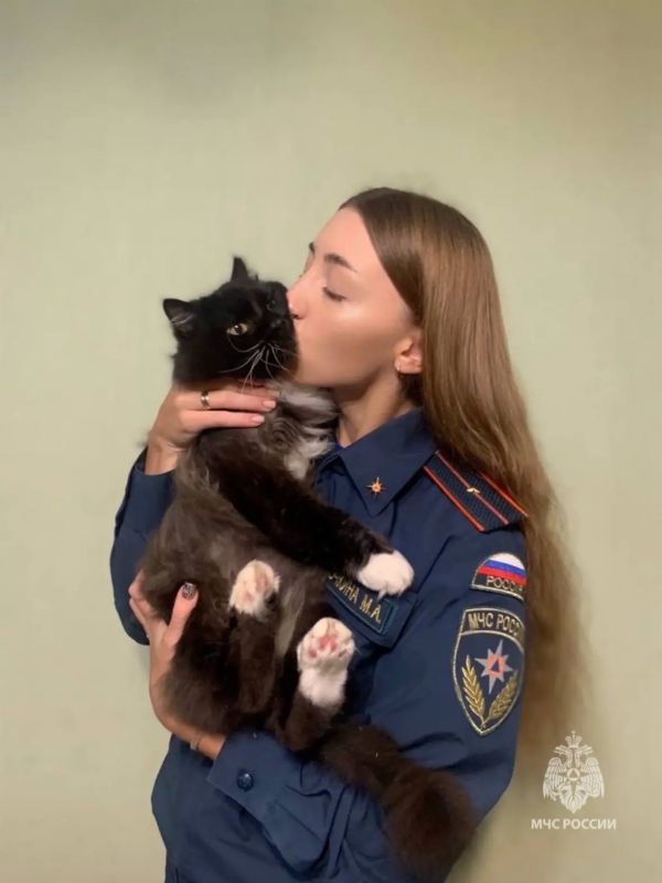 Делимся фотографиями наших сотрудников и котиков в честь Всемирного дня кошек Делимся фотографиями наших сотрудников и котиков в честь Всемирного дня кошек