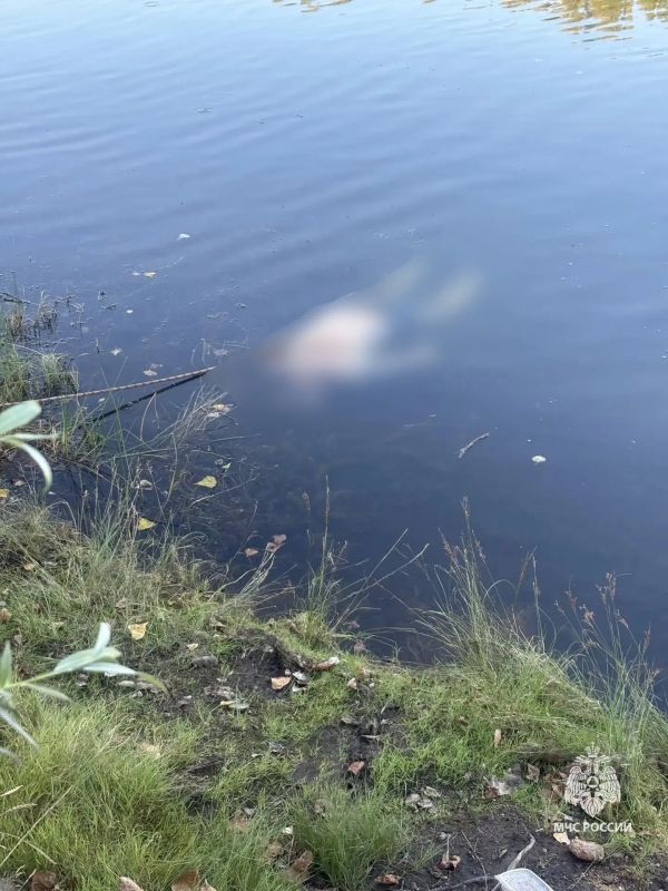 Два происшествия на водоемах республики за сутки Два происшествия на водоемах республики за сутки