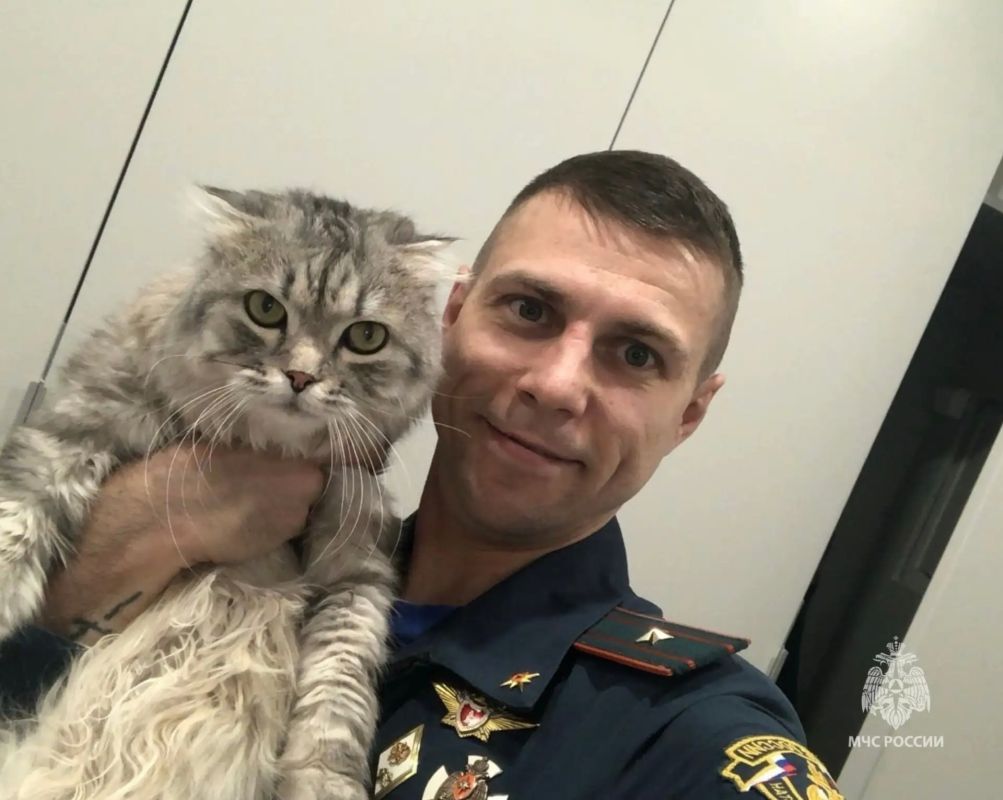 Делимся фотографиями наших сотрудников и котиков в честь Всемирного дня кошек Делимся фотографиями наших сотрудников и котиков в честь Всемирного дня кошек