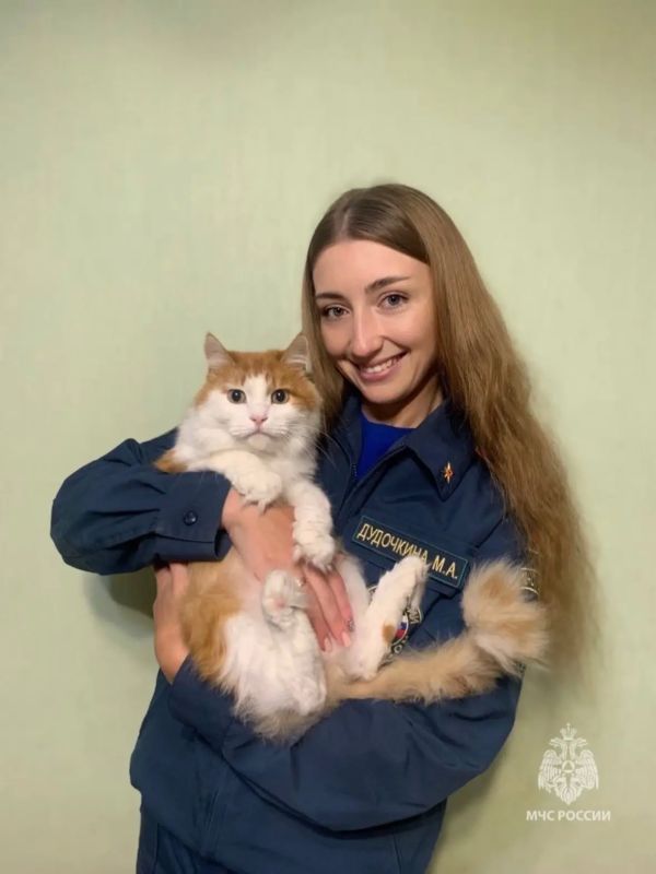 Делимся фотографиями наших сотрудников и котиков в честь Всемирного дня кошек Делимся фотографиями наших сотрудников и котиков в честь Всемирного дня кошек