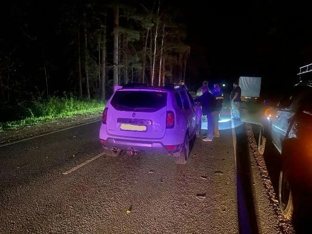 За выходные в ДТП погибли два лося и косуля За выходные в ДТП погибли два лося и косуля