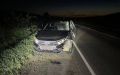 В Дюртюлинском районе Башкортостана под колесами автомобиля погибла лосиха
