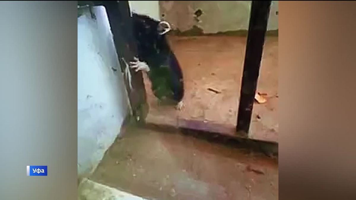 Карбыш забрался в один из офисов Уфы