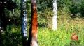 � ������������� � ����������� ��������-���� �������� ����������� � ������ ��������