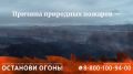В России проходит федеральная кампания «Останови огонь!»
