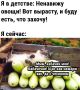 15 и 16 августа в Уфе пройдут сельхоз ярмарки