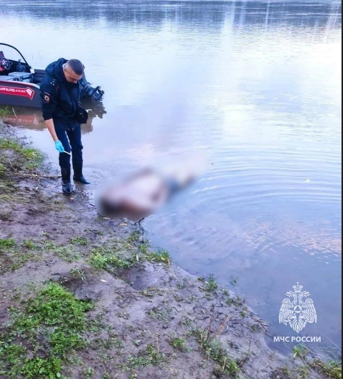 Три человека погибли на водоемах за выходные