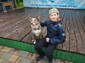 Среди множества направлений спасательной работы особое место занимает поиск людей с четвероногими напарниками — специально обученными собаками