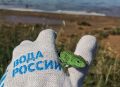 Уфимцев зовут на конкурс «Берег добрых дел» до 1 сентября