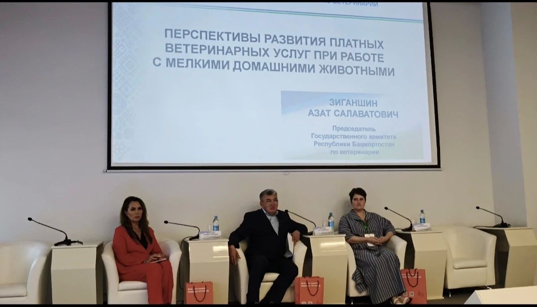 В минувшие выходные на площадке ВДНХ "Уфа-Экспо" прошли два масштабных мероприятия: выставка зооиндустрии "Зооэкспо-2026" и благотворительная акция "Ищу человека" В минувшие выходные на площадке ВДНХ "Уфа-Экспо" прошли два масштабных мероприятия: выставка зооиндустрии "Зооэкспо-2026" и благотворительная акция "Ищу человека"