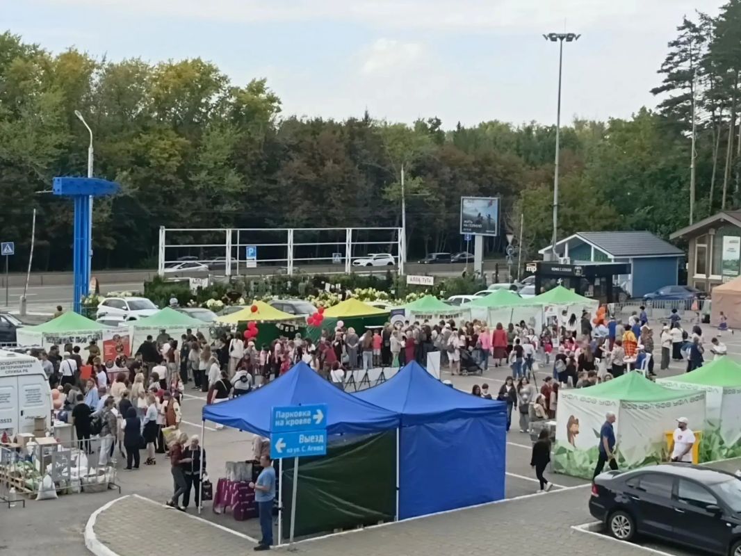 В минувшие выходные на площадке ВДНХ "Уфа-Экспо" прошли два масштабных мероприятия: выставка зооиндустрии "Зооэкспо-2026" и благотворительная акция "Ищу человека" В минувшие выходные на площадке ВДНХ "Уфа-Экспо" прошли два масштабных мероприятия: выставка зооиндустрии "Зооэкспо-2026" и благотворительная акция "Ищу человека"