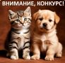 ����������� ���������, ����������� ���������� �������� � ������ ���, ����������� � ������������, � ���� ������������ "������ ����" �������� ������ �������� ������ ��� ���������� �������� �������� ��������� ����