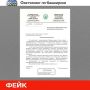 ���������� ��-���������: � ����� ������������� ��������� ���������� ������ ��� ����� SHAMAN �� �������