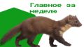 Две школы Калининского района получили по 500 тысяч