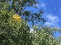 �� ������ ������������, 30 ������� �� ���������� ���������� ��������� ���������� ����������