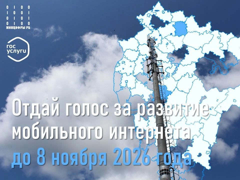 Голосуй за подключение населённого пункта к мобильному интернету