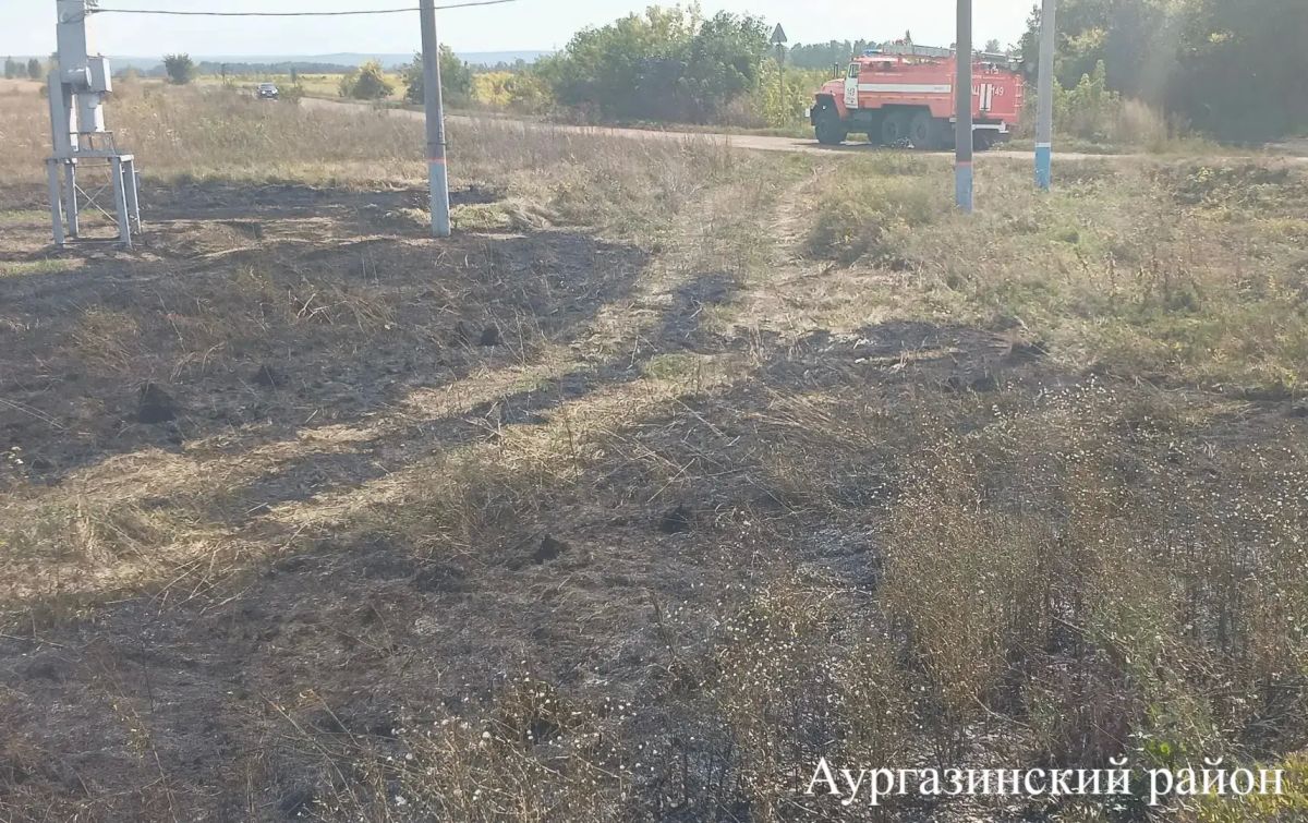 Доброе утро!. Актуальная информация об оперативной обстановке Доброе утро!. Актуальная информация об оперативной обстановке