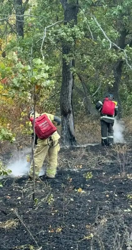 Обстановка с природными пожарами на юге республики стабилизировалась Обстановка с природными пожарами на юге республики стабилизировалась