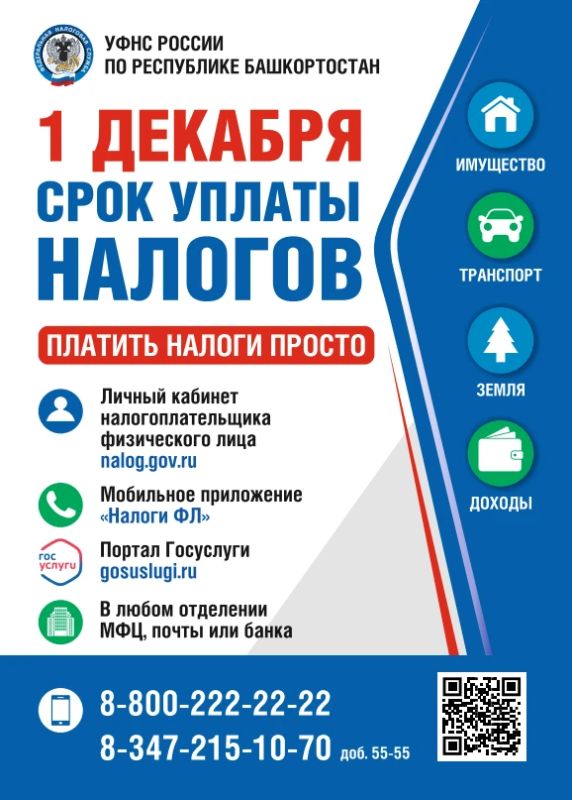 1 декабря - крайний срок уплаты налогов для физических лиц