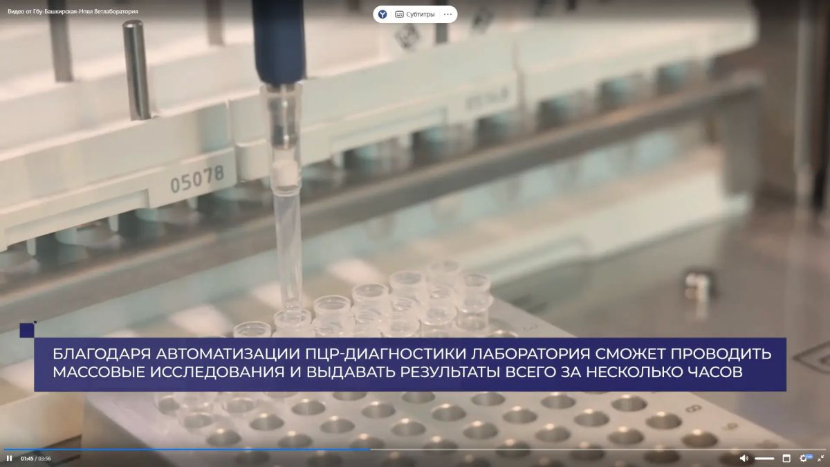 «Мощный прорыв современных технологий» – именно так можно назвать внедрение роботизированного комплекса «РОБОЛАБ» в Башкирскую научно-производственную ветеринарную лабораторию Башкортостана от компании ДНК Технология «Мощный прорыв современных технологий» – именно так можно назвать внедрение роботизированного комплекса «РОБОЛАБ» в Башкирскую научно-производственную ветеринарную лабораторию Башкортостана от компании ДНК Технология