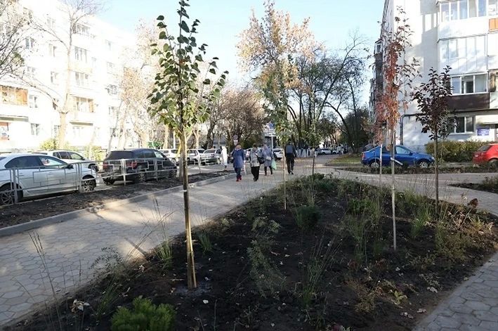 В ходе осенней акции «Зелёная Башкирия» в Уфе высадят 1200 деревьев