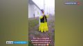 ���������� ����������� ���� �������� ������ �������� ������ �� ������ � ������� � � ������������ �������