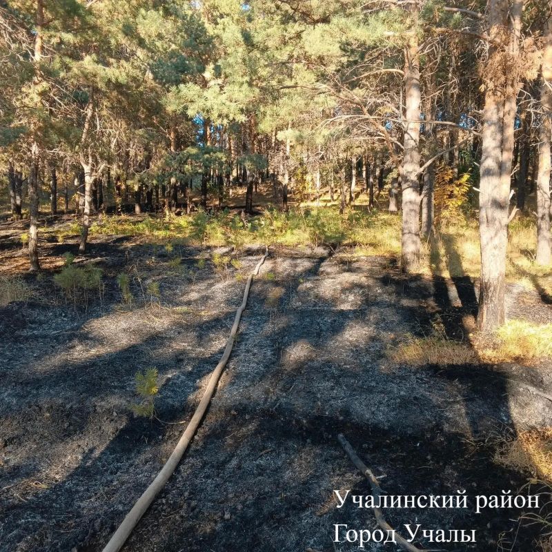 Доброе утро!. Актуальная информация об оперативной обстановке Доброе утро!. Актуальная информация об оперативной обстановке