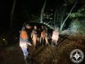 � ������������ ������ ��������� ������������ ����� � ������� � ���������� ��������