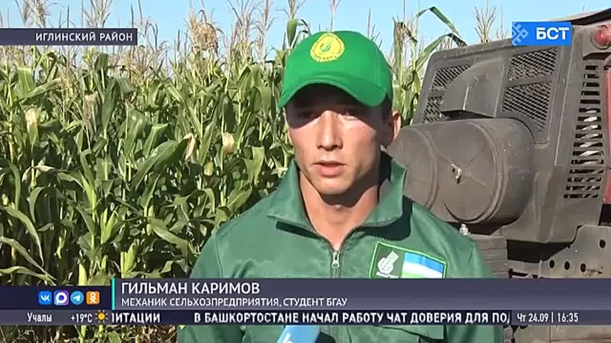 Гранты и субсидии: как в Башкирии поддерживают молодых специалистов АПК