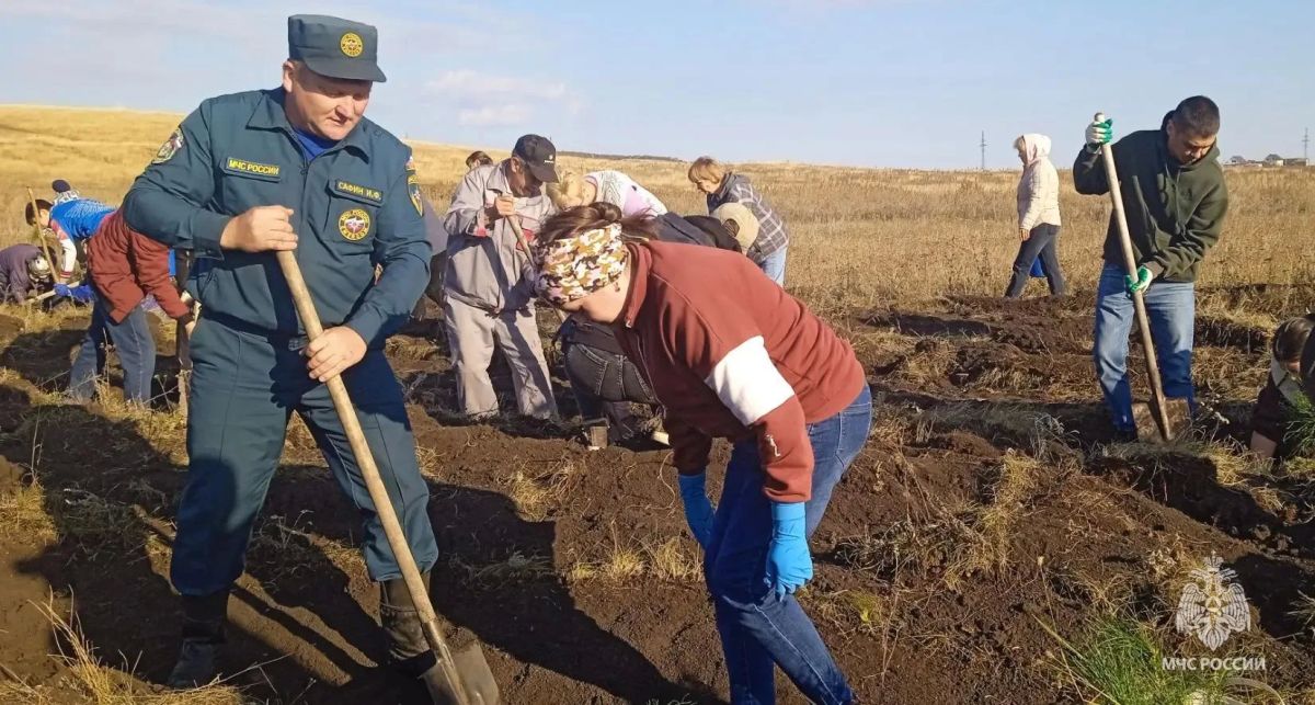 В рамках акции "Зеленая Башкирия" сотрудники Главного управления МЧС России по Республике Башкортостан высадили деревья В рамках акции "Зеленая Башкирия" сотрудники Главного управления МЧС России по Республике Башкортостан высадили деревья