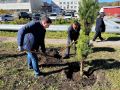 «Зеленая Башкирия»: Артур Аманбаев принял участие в озеленении Белорецкого района