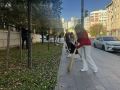 ���������� ����������� �� �� �� �������������� � �������� ����������