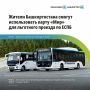 С 1 октября 2026 года в Башкортостане карту «Мир» можно использовать для льготного проезда