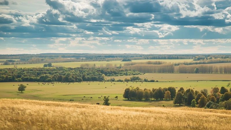 В Башкирии перенесли выходной в честь Дня республики