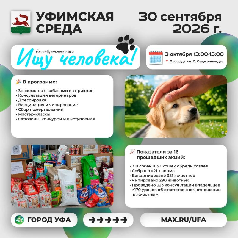Что было интересного на «Уфимской среде»? Что было интересного на «Уфимской среде»?
