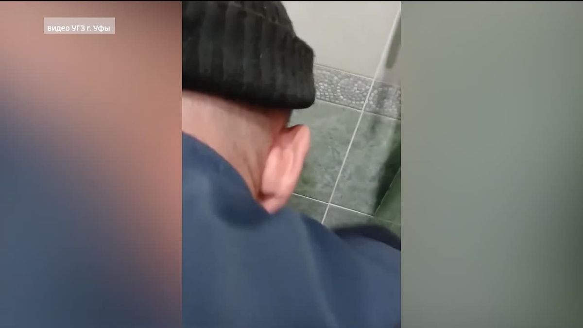 Уфимские спасатели пришли на помощь кошке, которая застряла в стене
